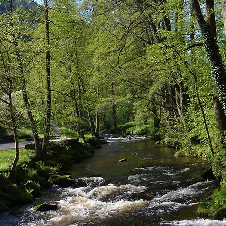 Апартаменты Wildbad Luft Бад-Вильдбад Экстерьер фото